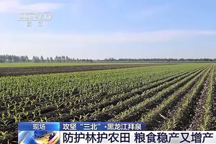 孙兴慜本场数据：传射建功+乌龙送礼，2次关键传球，评分8.0分